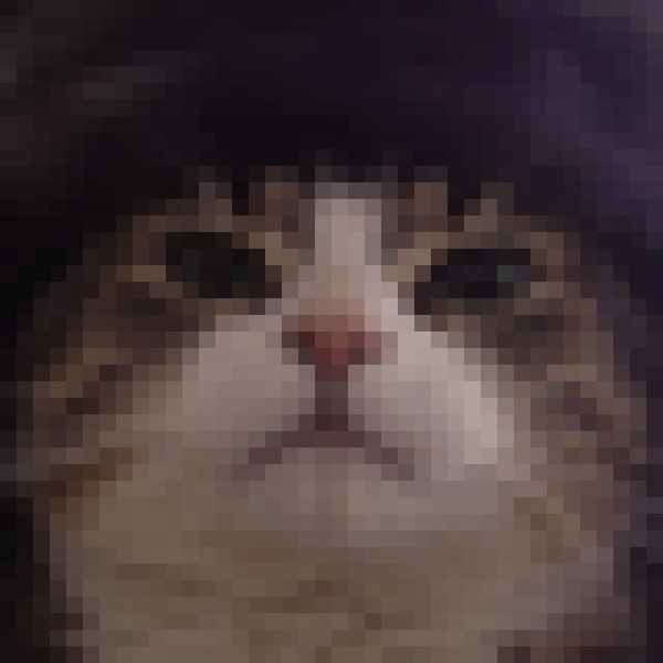 An extremely pixelated close-up of Comrade Meowski's unimpressed face